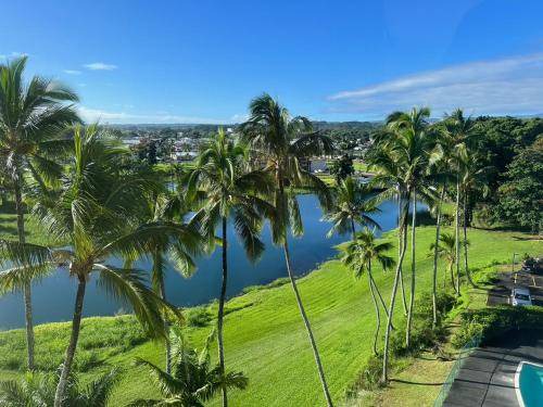 Photo of Others in Hilo