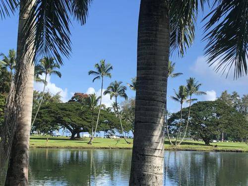 Photo of Others in Hilo