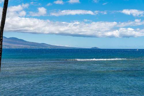 Photo of Others in Maalaea
