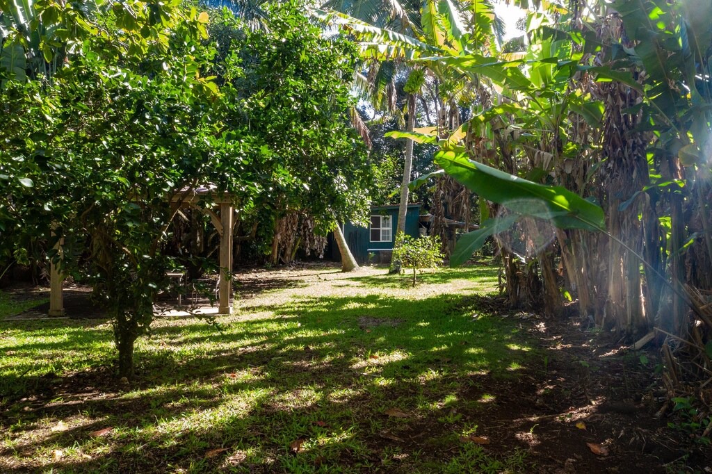 Photo of Outdoor in Pauwela