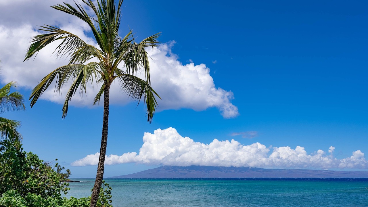 Photo of Others in Kahana