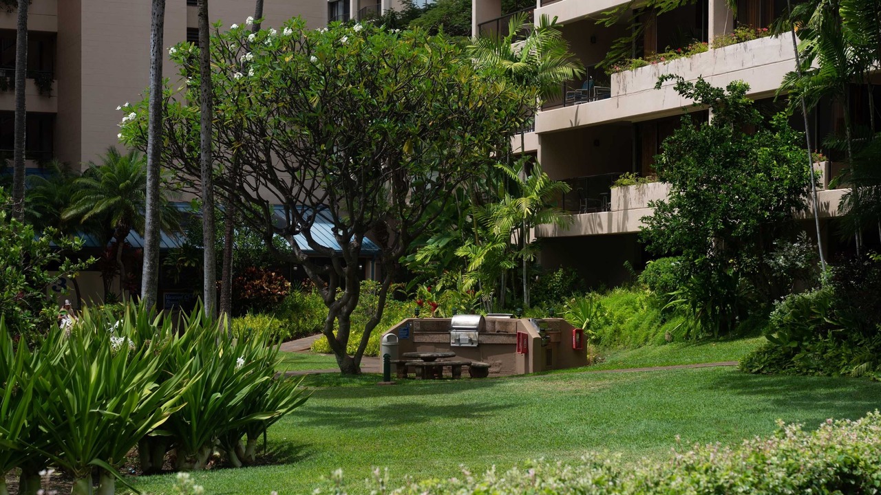 Photo of Outdoor in Kahana