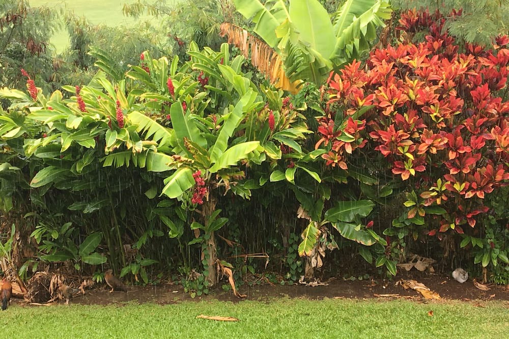 Photo of Outdoor in Kapalua