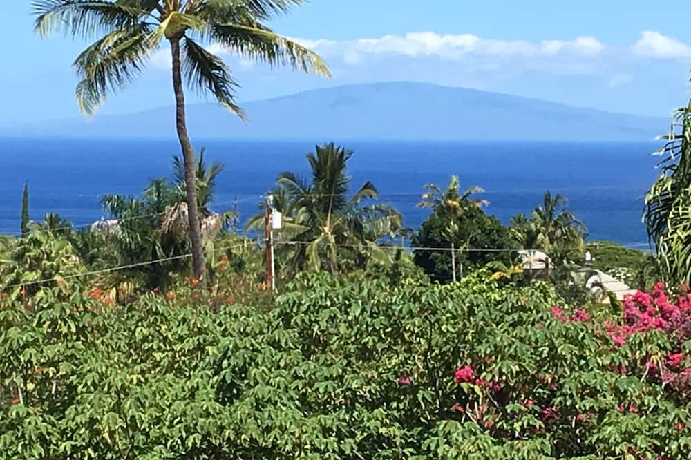 Photo of Others in Kapalua