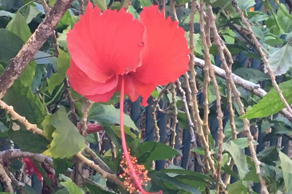 Photo of Outdoor in Kapalua