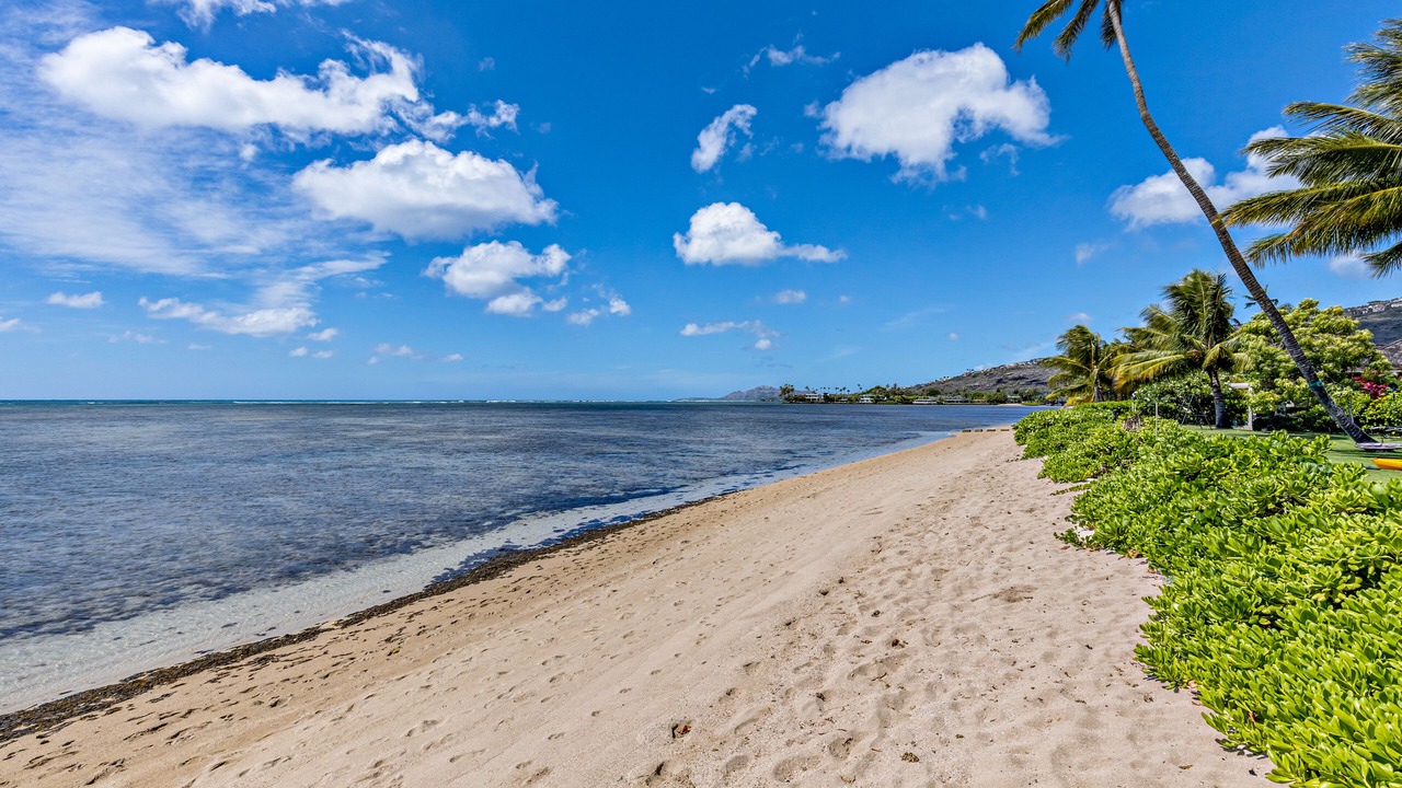 Photo of Others in Eastern Honolulu