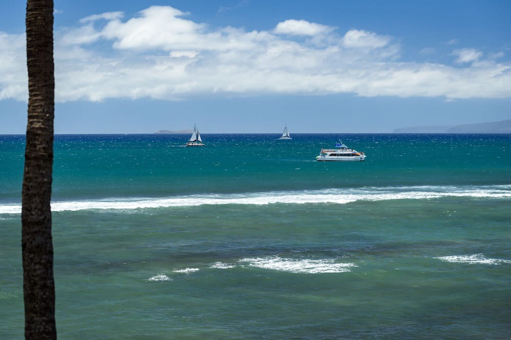 Photo of Others in Wailuku Heights