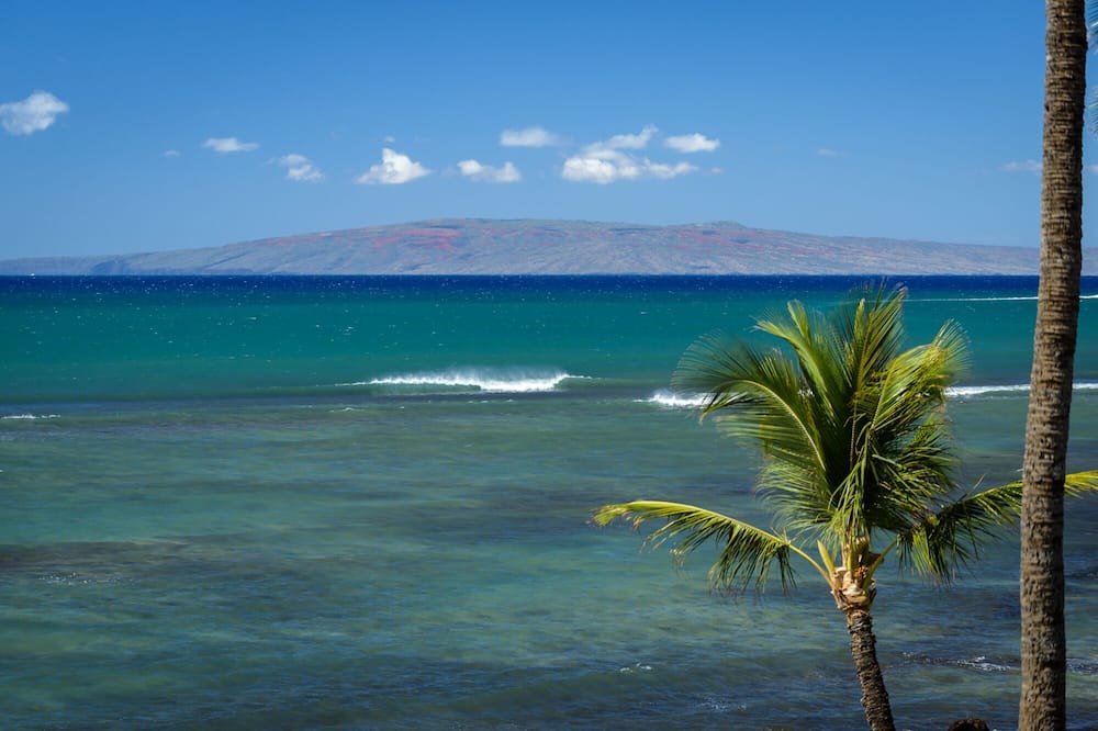 Photo of Others in Wailuku Heights