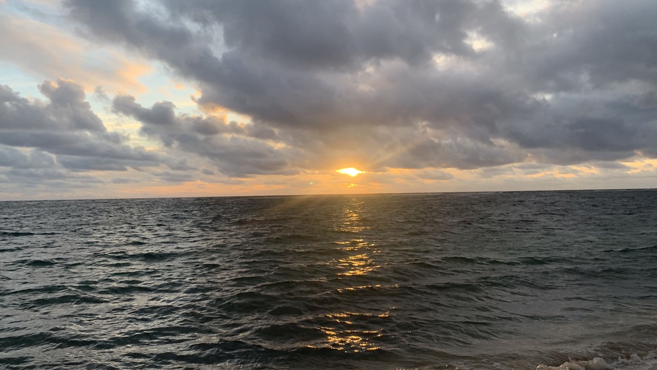 Photo of Others in Hauula