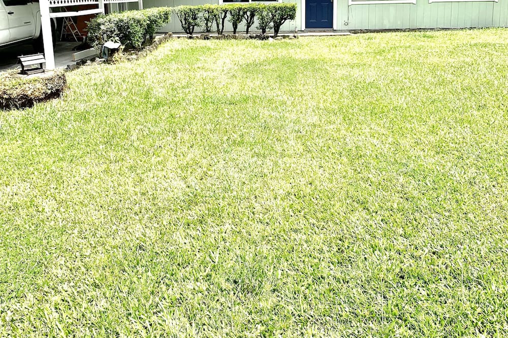 Photo of Outdoor in Kapoho
