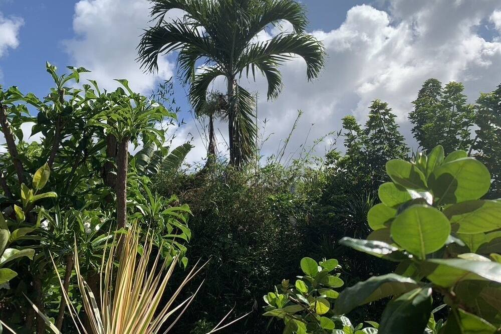 Photo of Outdoor in Waimanalo