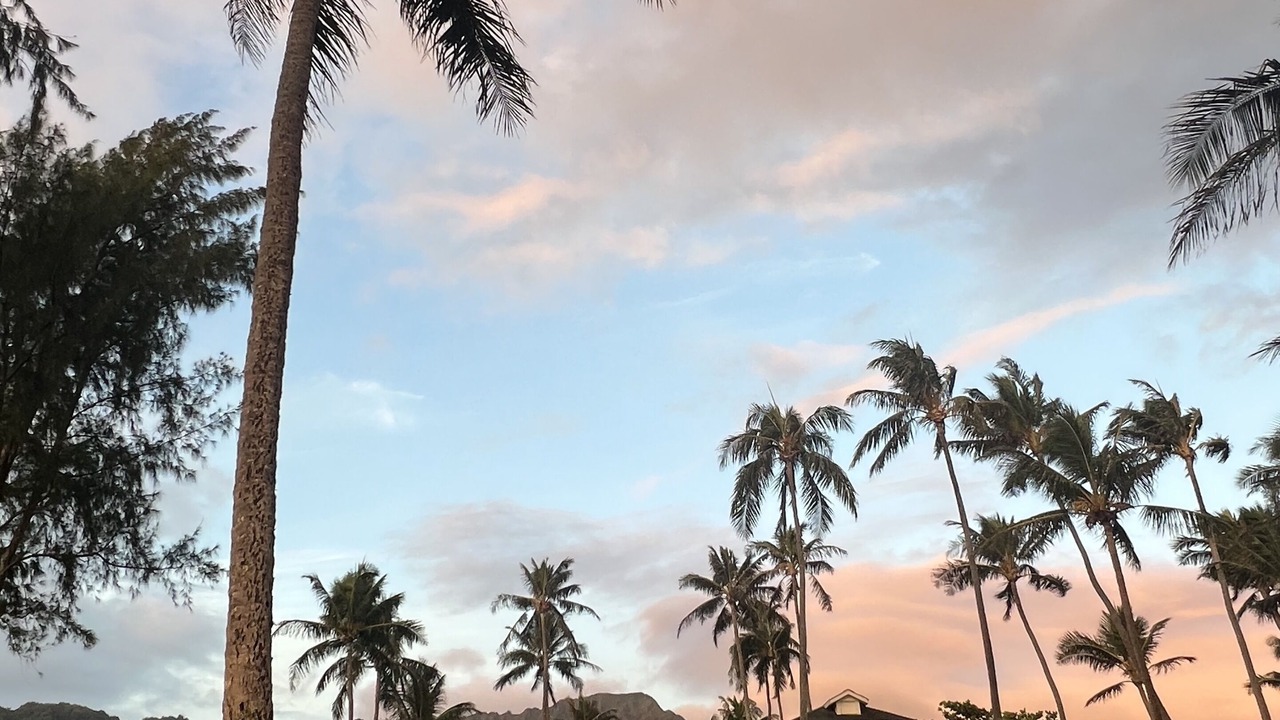 Photo of Outdoor in Waimanalo