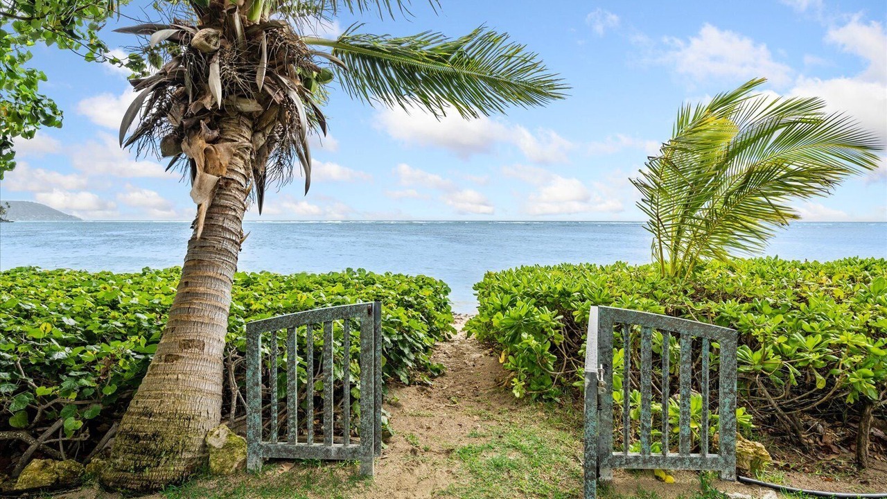 Photo of Outdoor in Eastern Honolulu