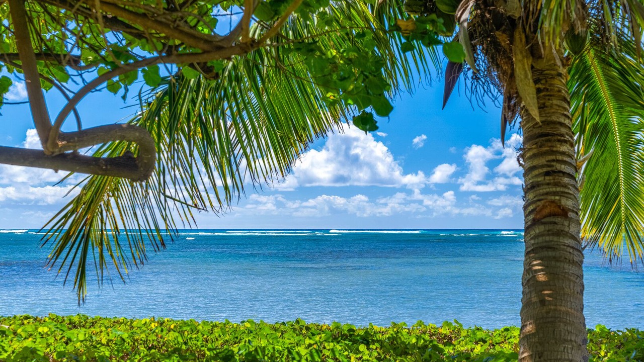 Photo of Others in Eastern Honolulu