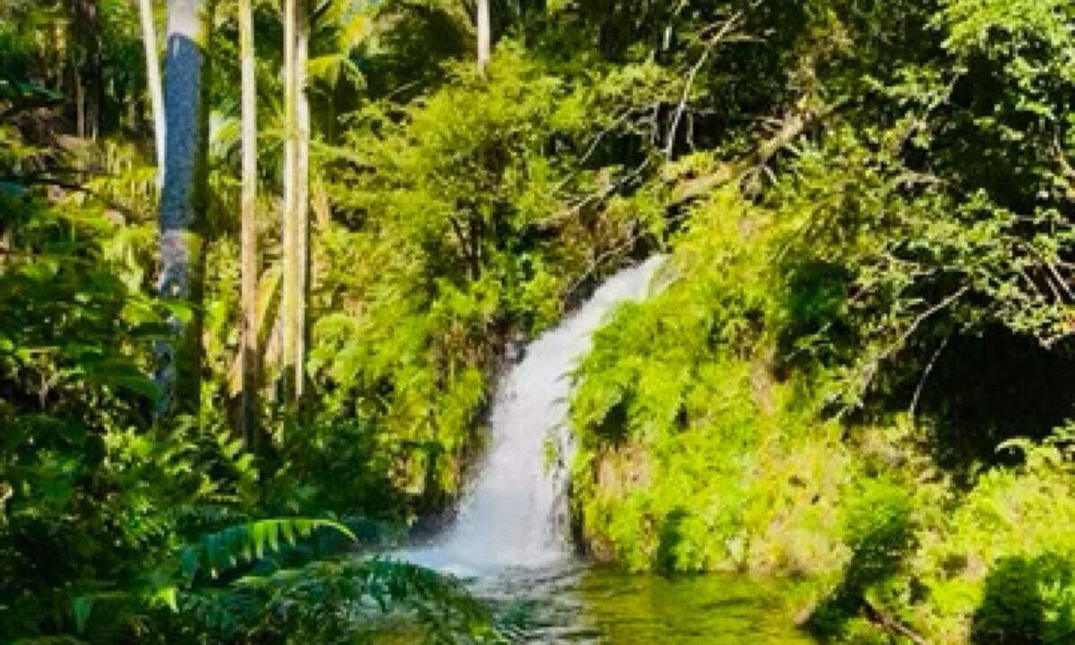 Photo of Outdoor in Hakalau