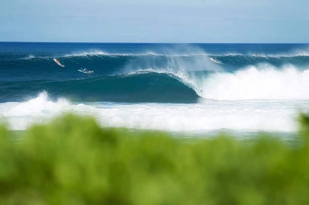 Photo of Outdoor in Ewa
