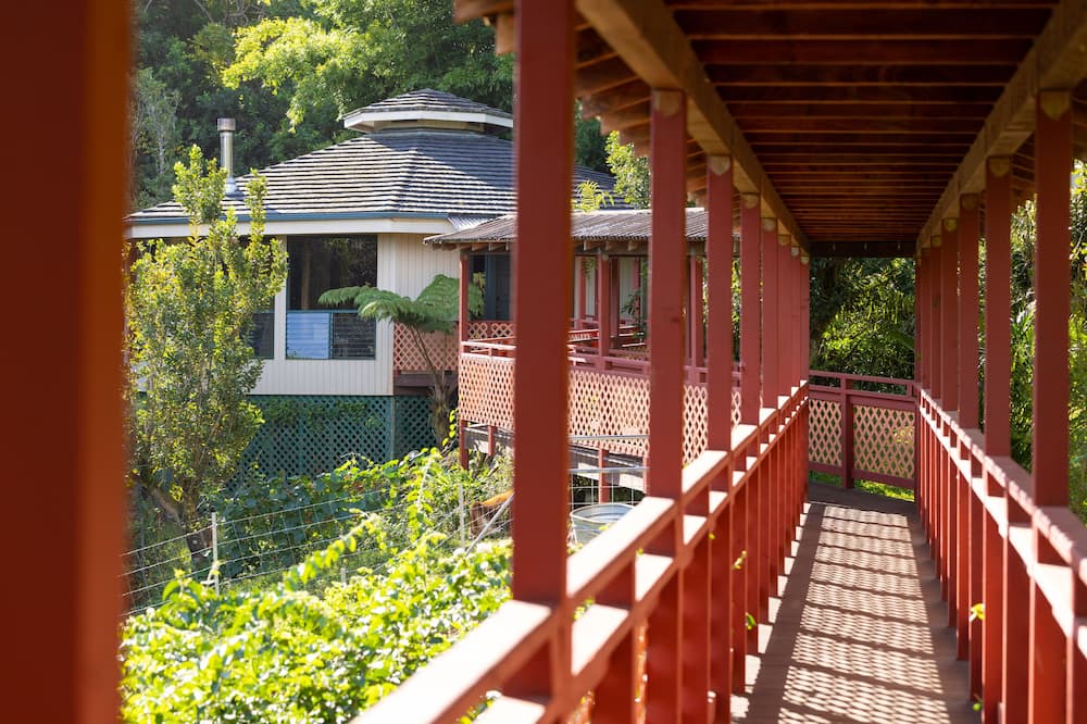 Photo of Outdoor in Honokaa