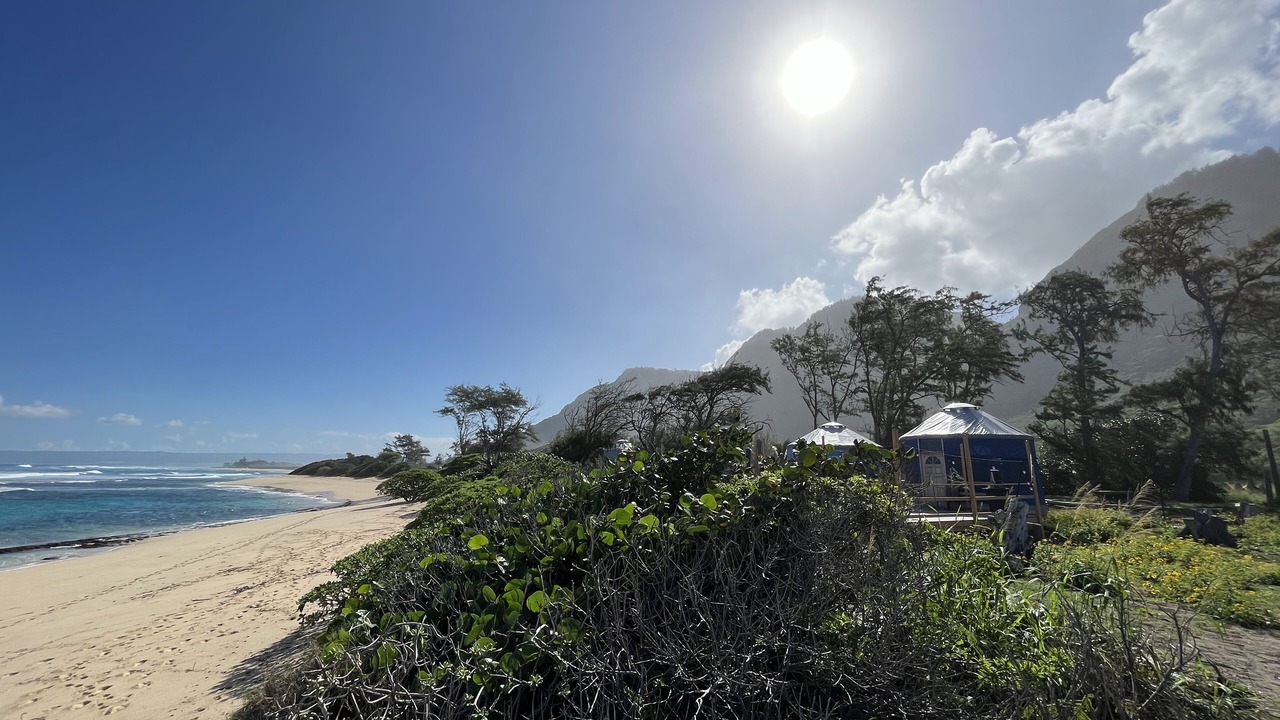 Photo of Others in Waialua