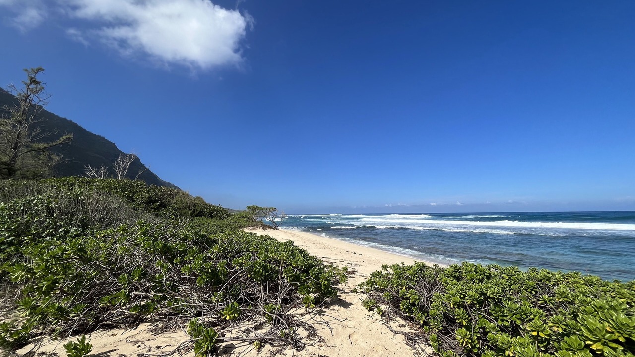 Photo of Others in Waialua