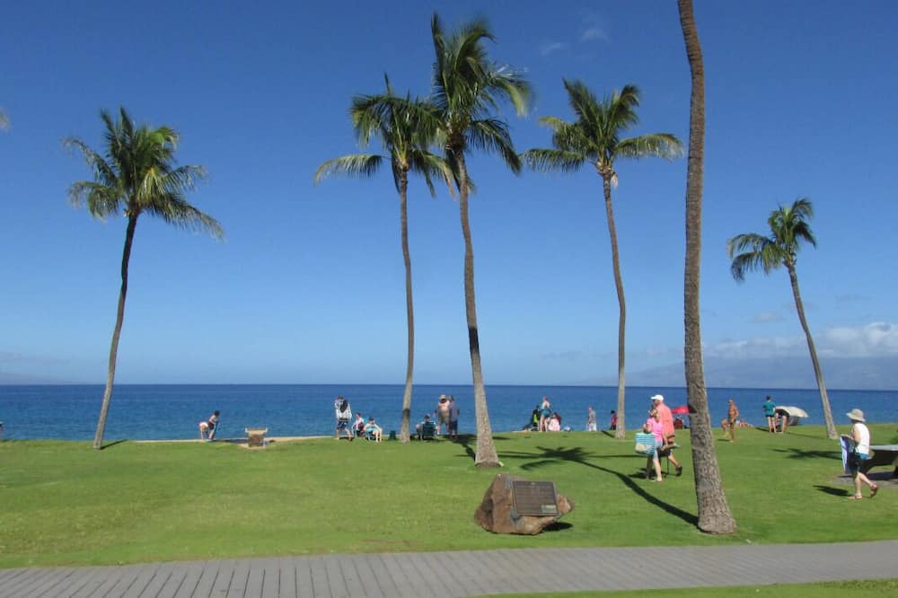 Photo of Others in Kaanapali