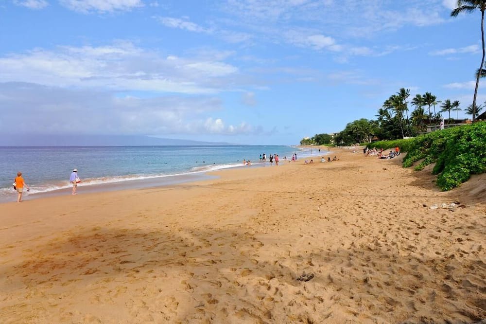 Photo of Others in Kaanapali