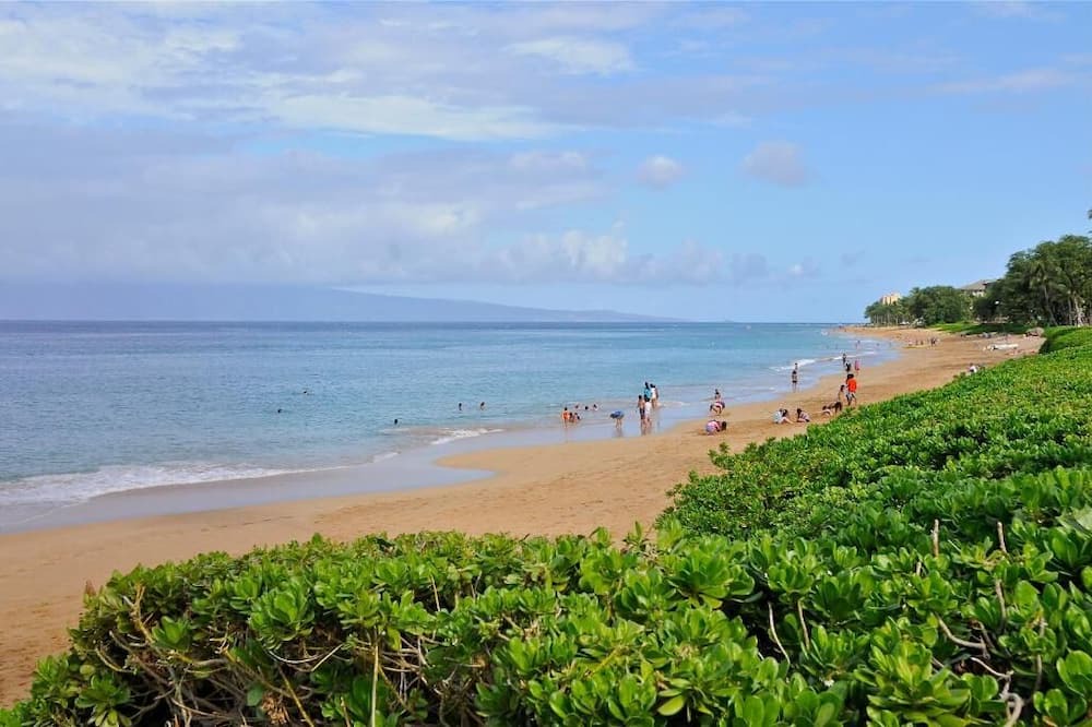 Photo of Others in Kaanapali