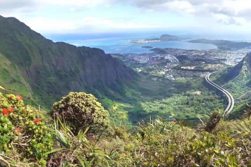 Photo of Others in Kaneohe