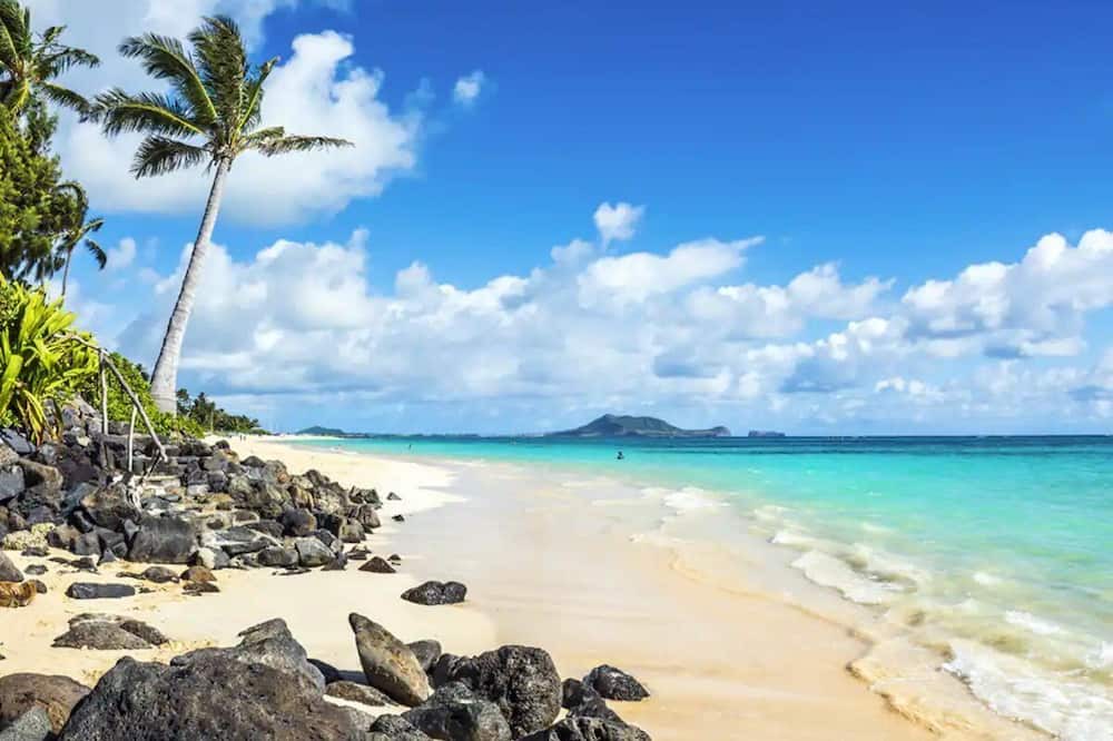 Photo of Others in Kaneohe