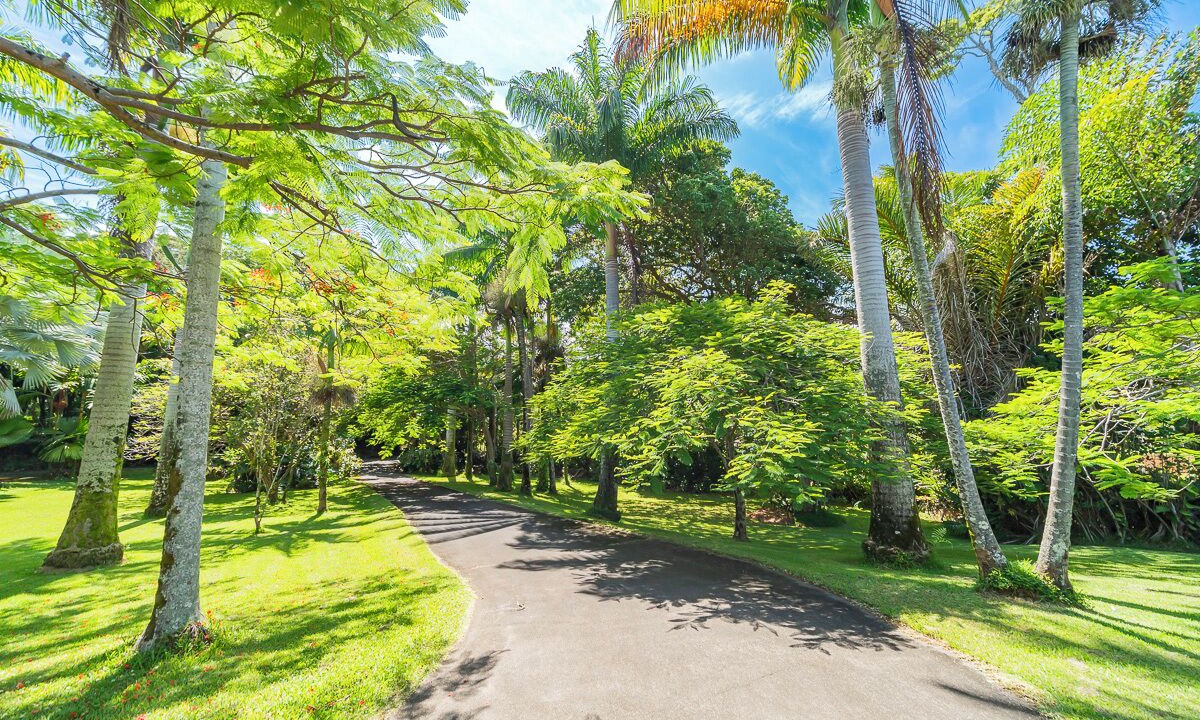 Photo of Outdoor in Hakalau