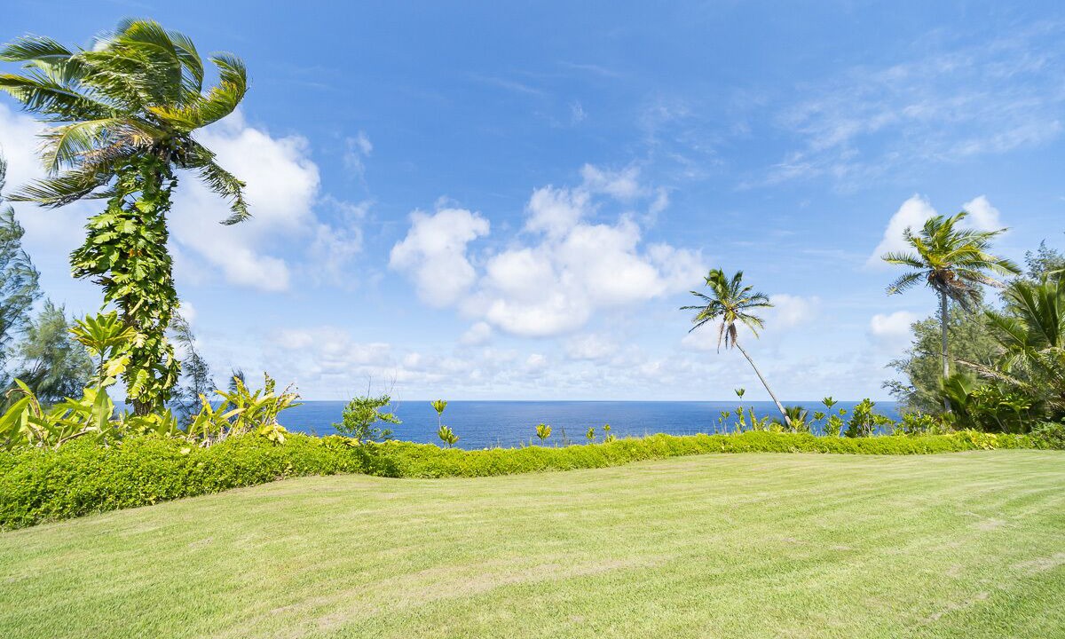 Photo of Others in Hakalau