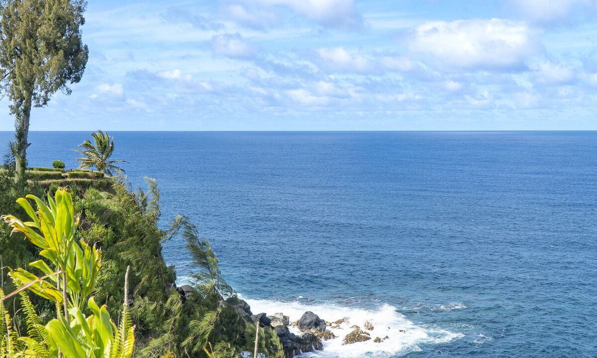 Photo of Others in Hakalau
