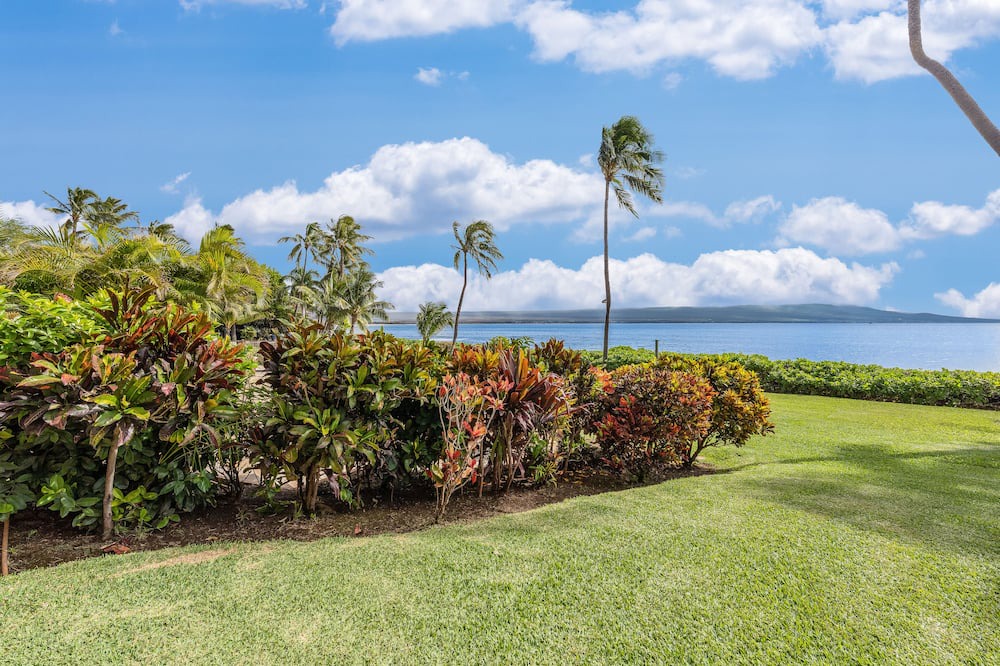 Photo of Outdoor in Maalaea