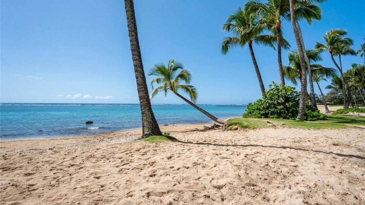 Photo of Others in Waialae Iki