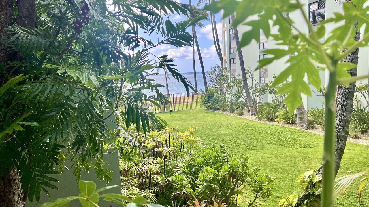 Photo of Outdoor in Waialae Iki