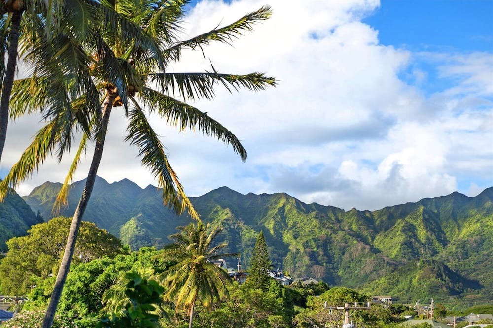 Photo of Others in Manoa
