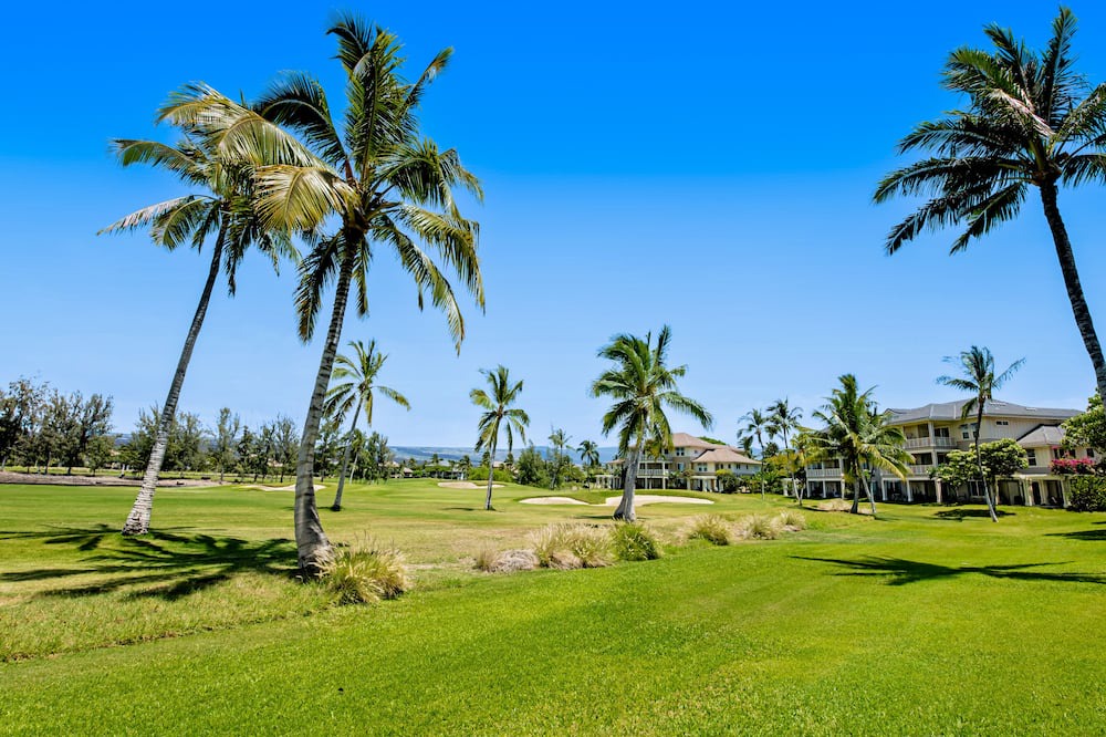 Photo of Others in Waikoloa