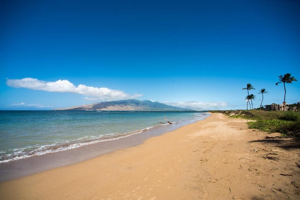 Photo of Others in Kihei
