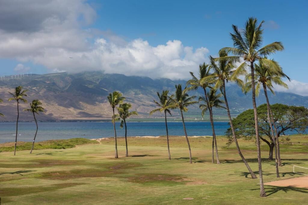 Photo of Others in Kihei