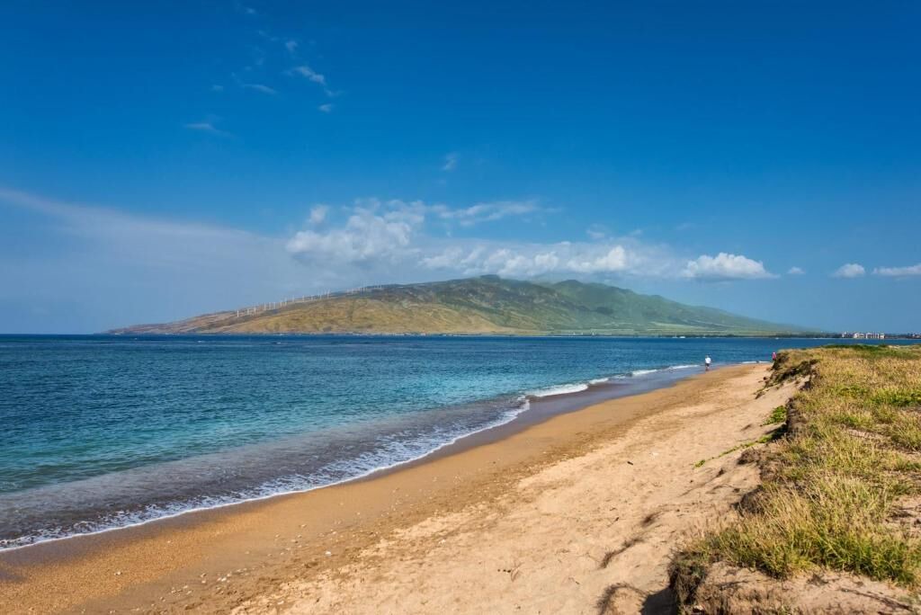 Photo of Others in Kihei