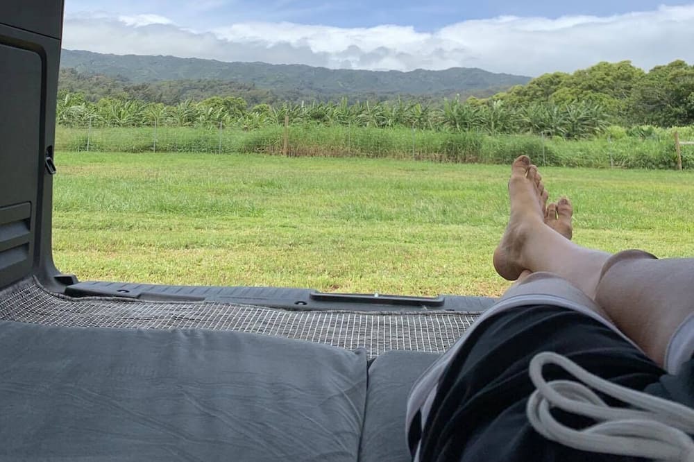 Photo of Others in Laie