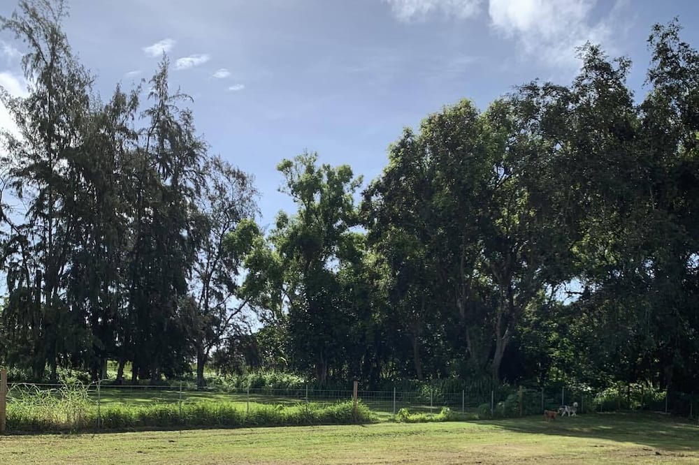 Photo of Others in Laie