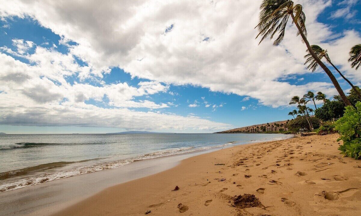 Photo of Others in Maalaea