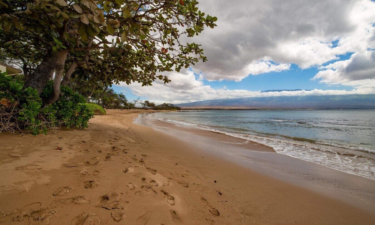Photo of Others in Maalaea