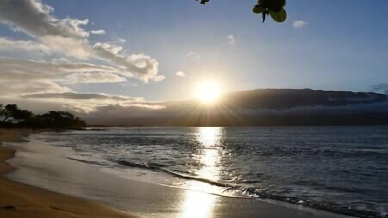 Photo of Others in Maalaea