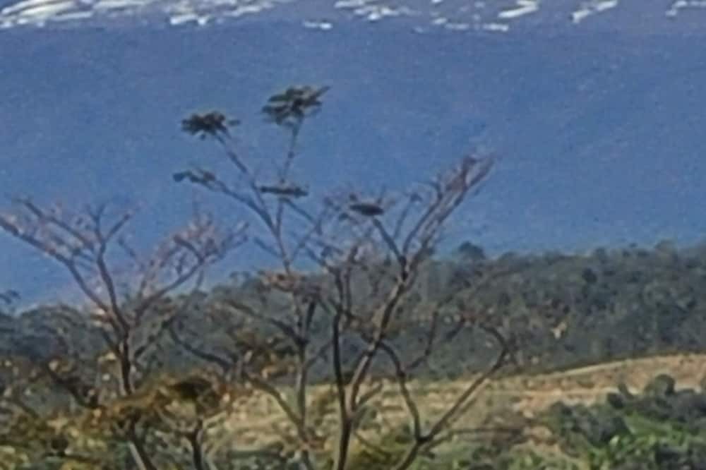 Photo of Others in Papaikou