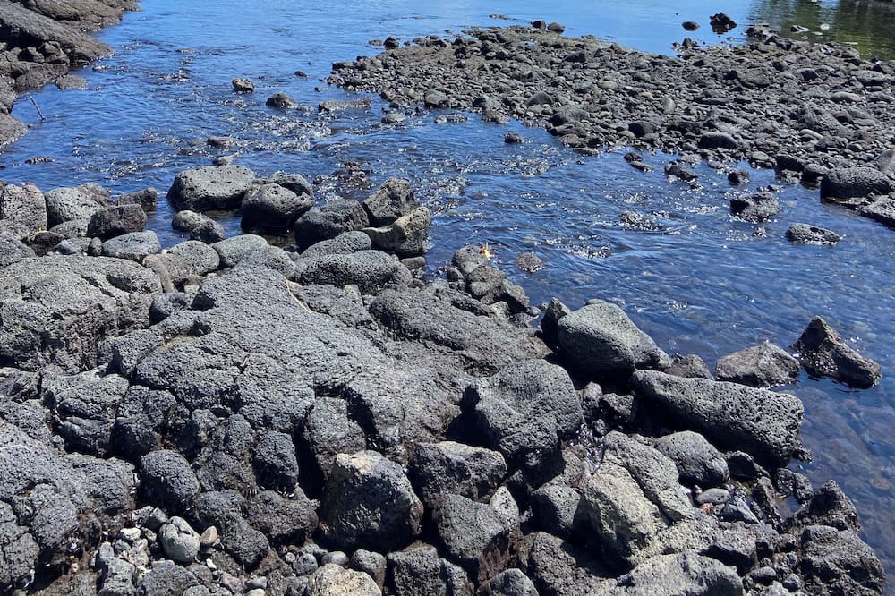 Photo of Others in Keaukaha