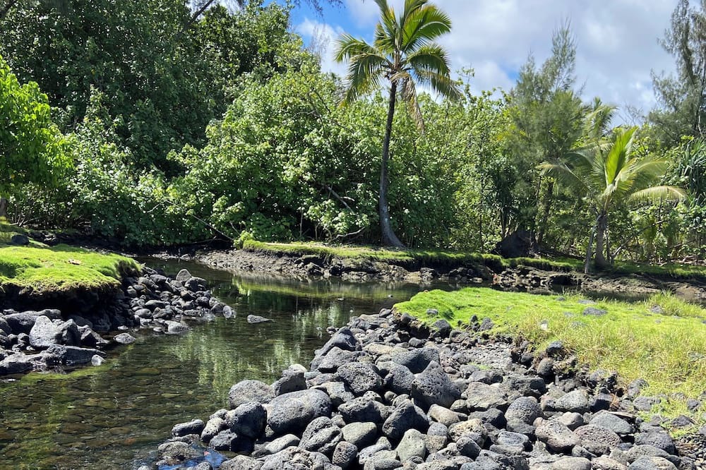 Photo of Others in Keaukaha