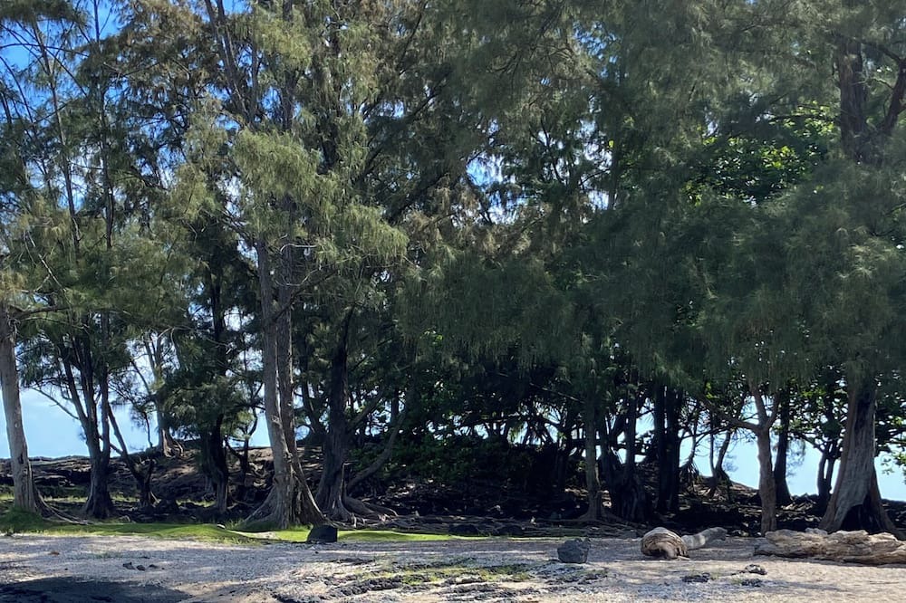 Photo of Others in Keaukaha