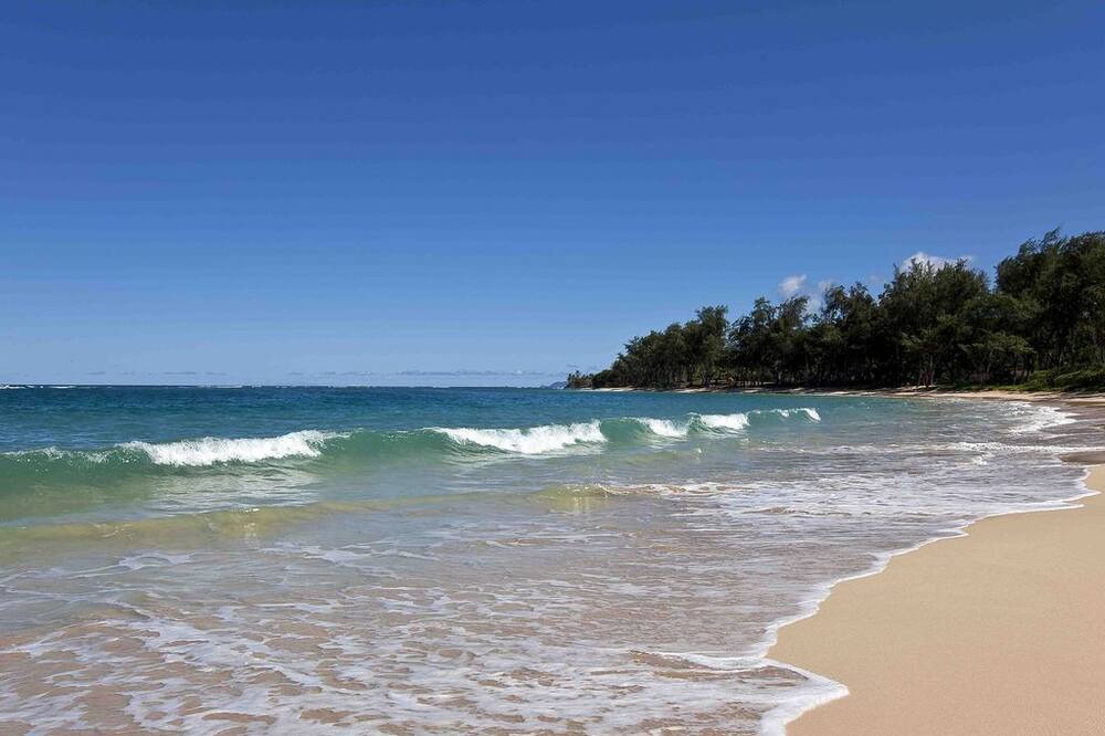 Photo of Others in Laie
