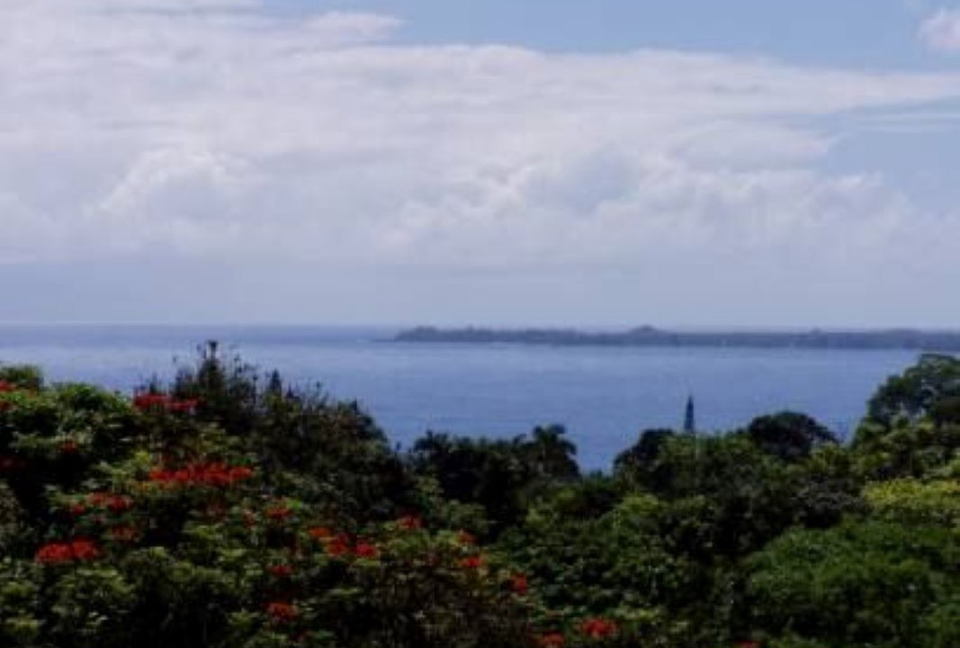 Photo of Outdoor in Papaikou